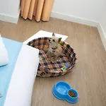 Casual Raizes By Casual