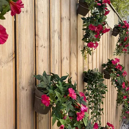 Casual Raizes Hotel 3*