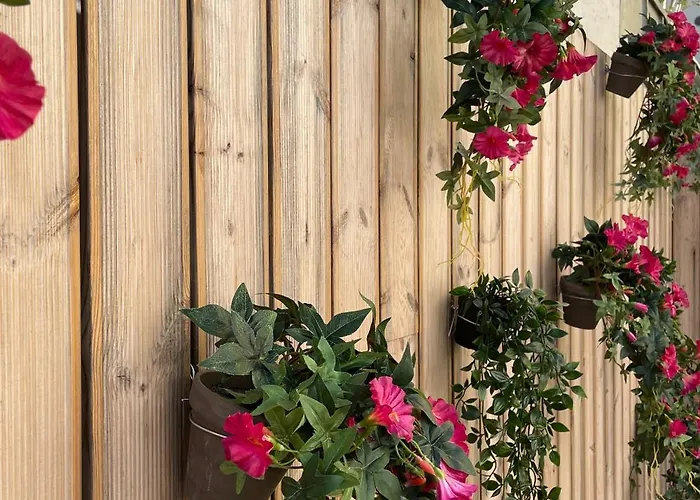 Casual Raizes 호텔 3*