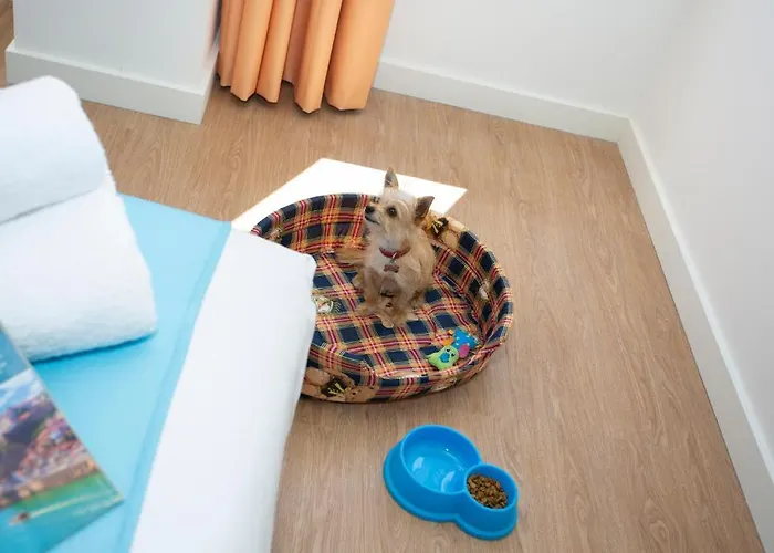 Casual Raizes Ξενοδοχείο